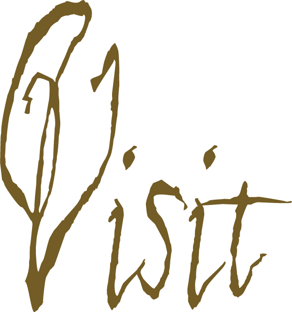 Visit